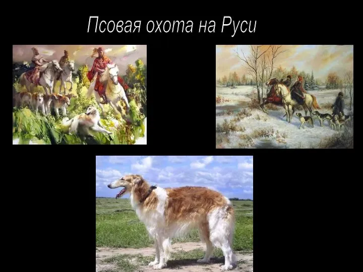 Псовая охота на Руси