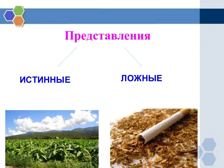 Представления ИСТИННЫЕ ЛОЖНЫЕ