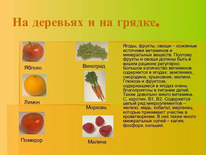 На деревьях и на грядке. Ягоды, фрукты, овощи – основные источники