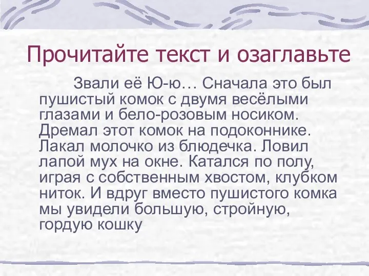 Звали её Ю-ю… Сначала это был пушистый комок с двумя весёлыми