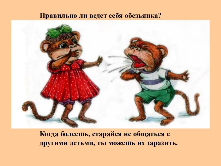 Правильно ли ведет себя обезьянка? Когда болеешь, старайся не общаться с