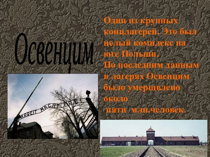 Один из крупных концлагерей. Это был целый комплекс на юге Польши.