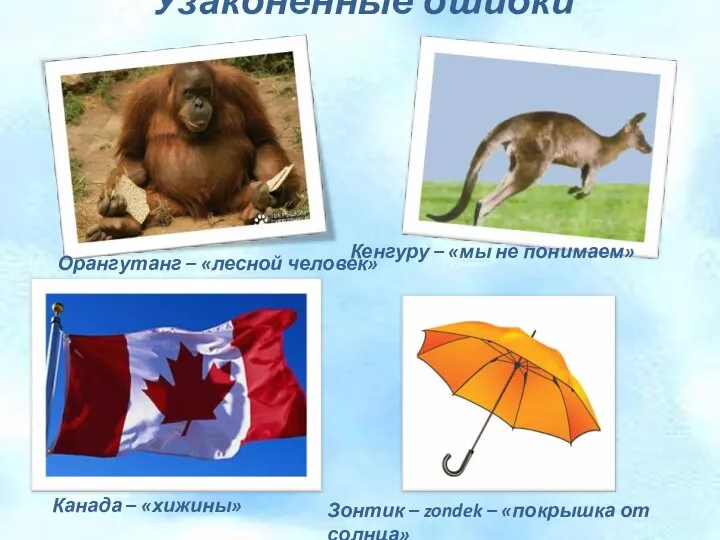 Узаконенные ошибки Орангутанг – «лесной человек» Кенгуру – «мы не понимаем»