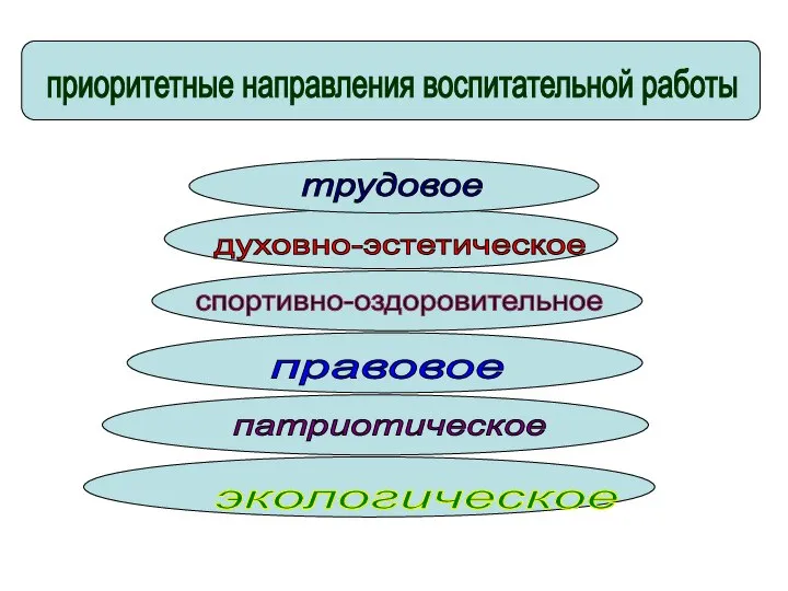 приоритетные направления воспитательной работы экологическое патриотическое правовое спортивно-оздоровительное духовно-эстетическое трудовое