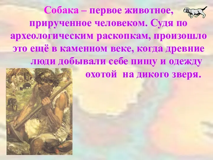 Собака – первое животное, прирученное человеком. Судя по археологическим раскопкам, произошло