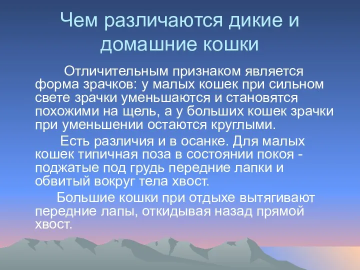 Чем различаются дикие и домашние кошки Отличительным признаком является форма зрачков: