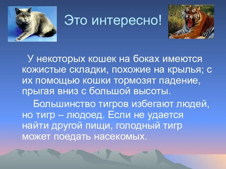 Это интересно! У некоторых кошек на боках имеются кожистые складки, похожие