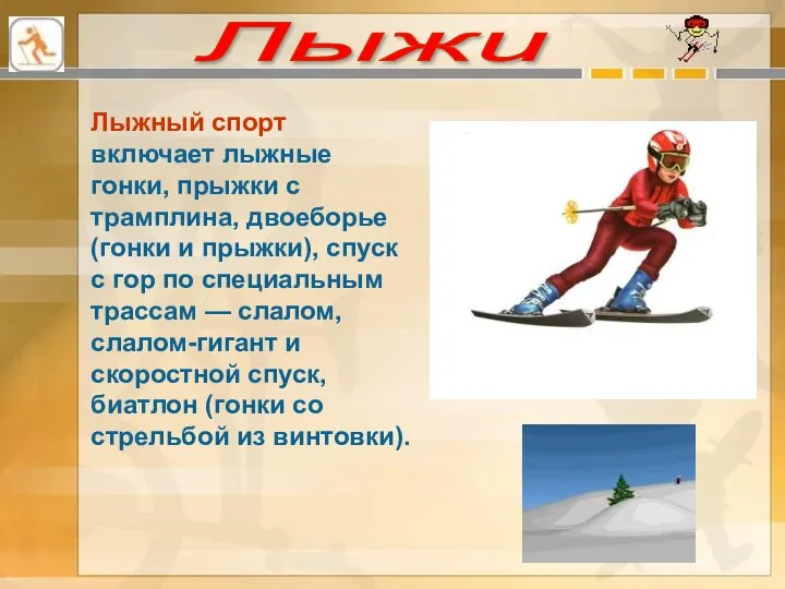 Лыжи Лыжный спорт включает лыжные гонки, прыжки с трамплина, двоеборье (гонки