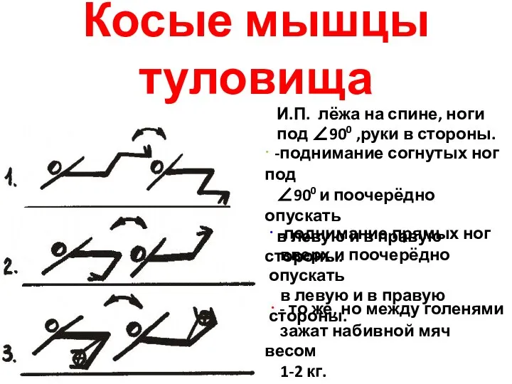 Косые мышцы туловища И.П. лёжа на спине, ноги под 900 ,руки