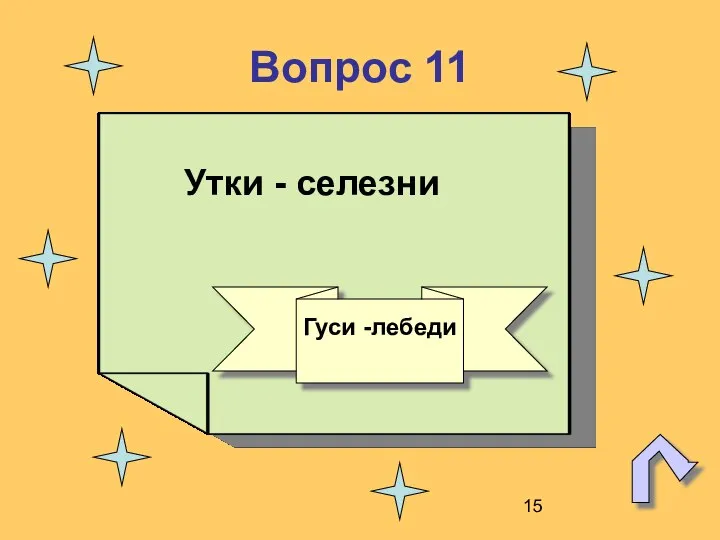 Вопрос 11 Утки - селезни Гуси -лебеди