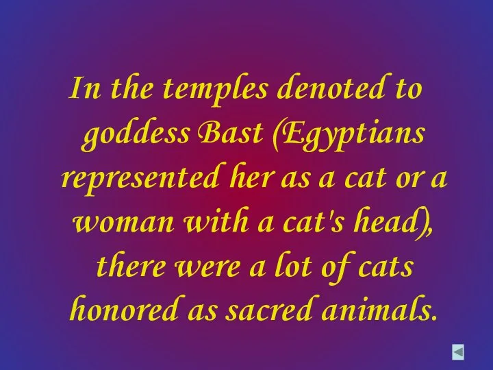 In the temples denoted to goddess Bast (Egyptians represented her as