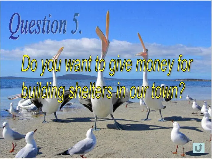 Question 5. Do you want to give money for building shelters in our town?