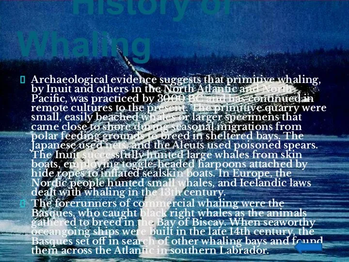 History of Whaling Archaeological evidence suggests that primitive whaling, by Inuit