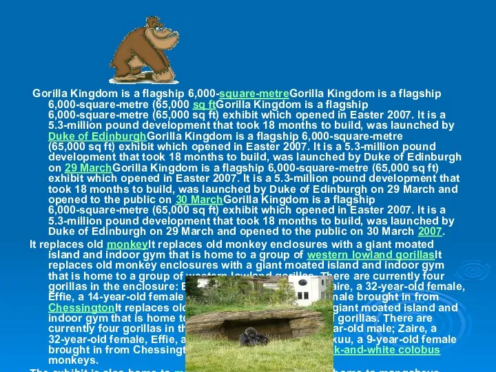 Gorilla Kingdom is a flagship 6,000-square-metreGorilla Kingdom is a flagship 6,000-square-metre