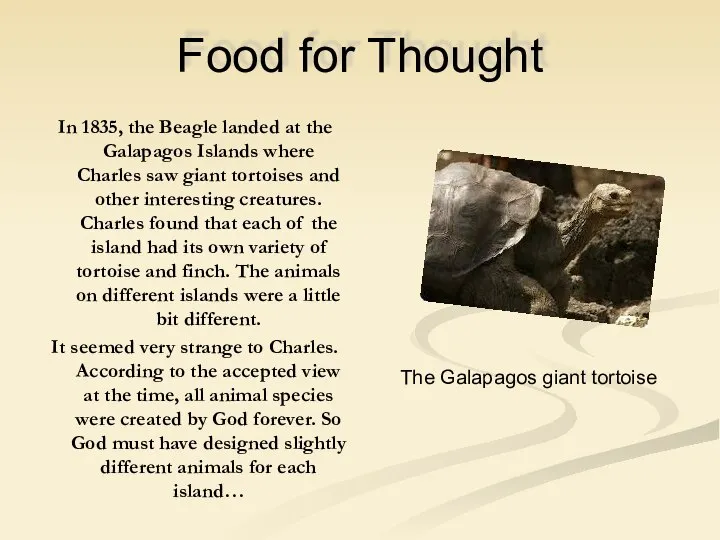 Food for Thought In 1835, the Beagle landed at the Galapagos
