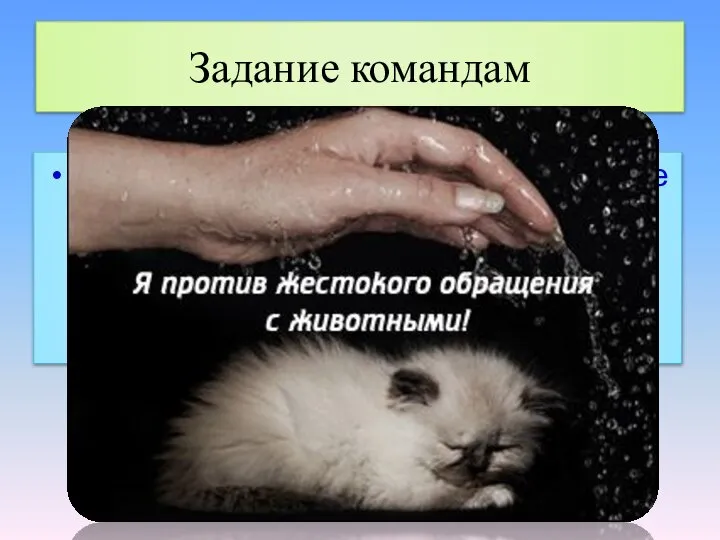 Задание командам Нарисуйте небольшой плакат на листке А4 под названием "Я против жестокого обращения с животными!"