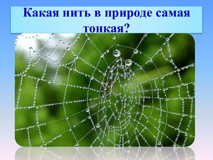 Какая нить в природе самая тонкая?