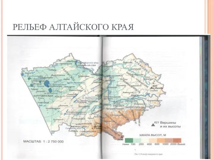 РЕЛЬЕФ АЛТАЙСКОГО КРАЯ