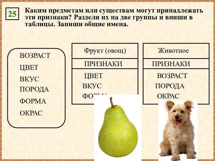 25 Каким предметам или существам могут принадлежать эти признаки? Раздели их