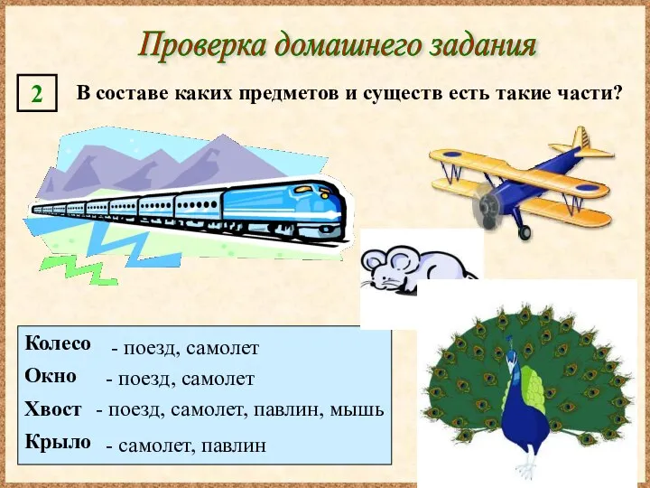 Колесо Окно Хвост Крыло - поезд, самолет - поезд, самолет, павлин,