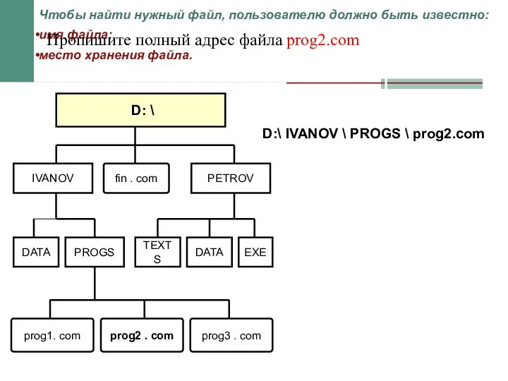 D: \ fin . com PETROV IVANOV DATA DATA EXE TEXTS