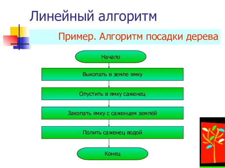 Линейный алгоритм Пример. Алгоритм посадки дерева