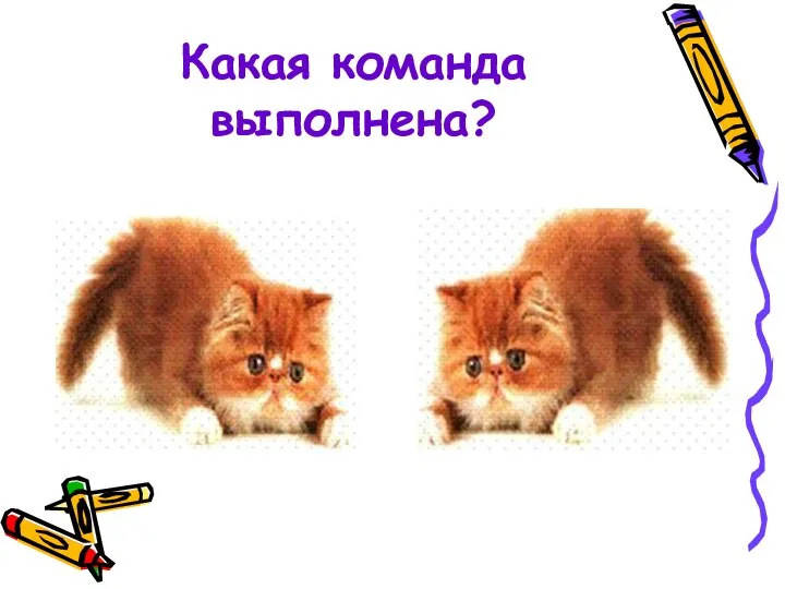 Какая команда выполнена?