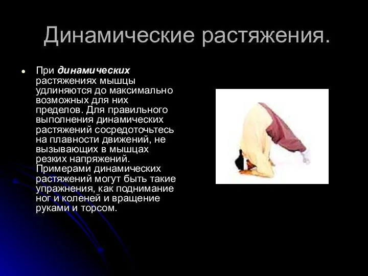 Динамические растяжения. При динамических растяжениях мышцы удлиняются до максимально возможных для