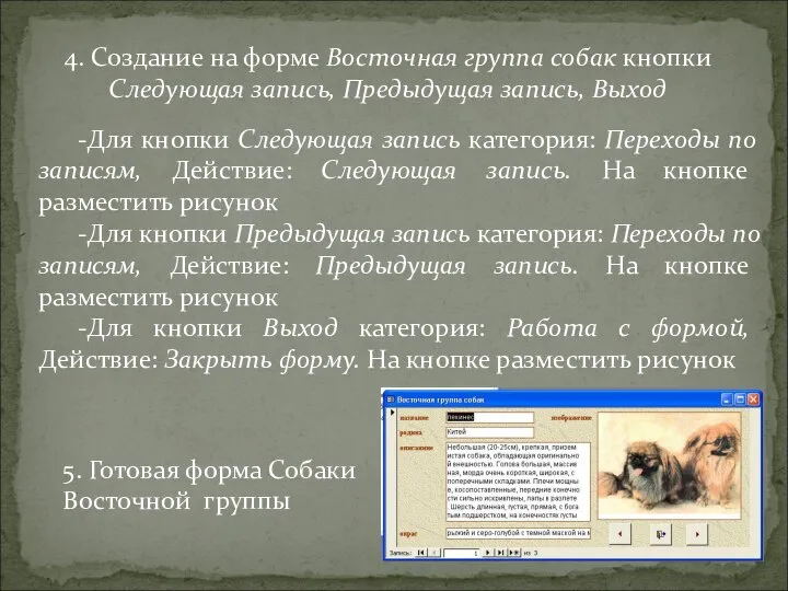 4. Создание на форме Восточная группа собак кнопки Следующая запись, Предыдущая