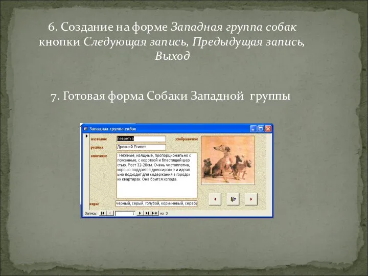 6. Создание на форме Западная группа собак кнопки Следующая запись, Предыдущая