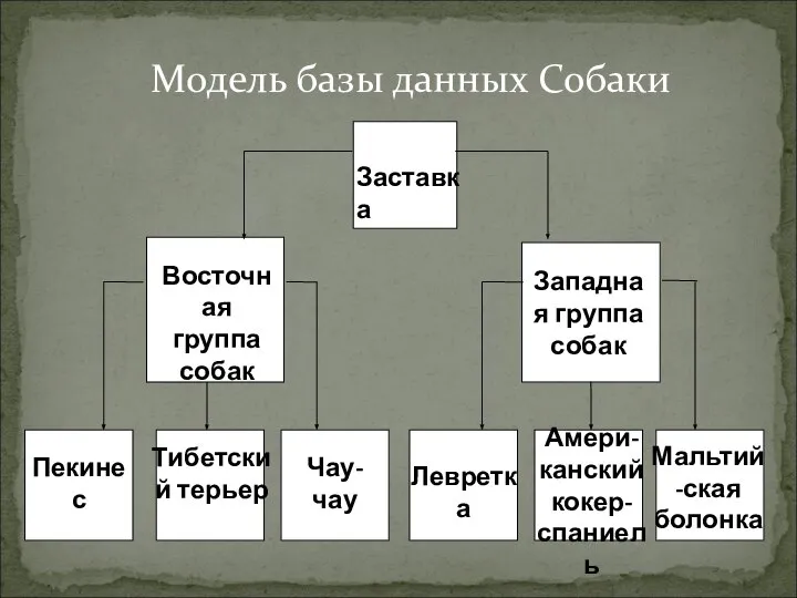 Модель базы данных Собаки