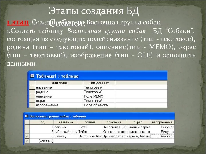 1 этап. Создание формы Восточная группа собак 1.Создать таблицу Восточная группа