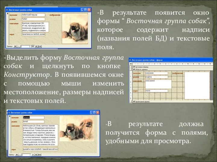-В результате появится окно формы “ Восточная группа собак”, которое содержит
