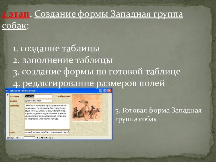 2 этап. Создание формы Западная группа собак: 1. создание таблицы 2.