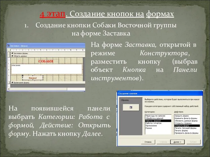 4 этап. Создание кнопок на формах Создание кнопки Собаки Восточной группы