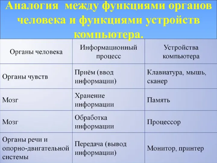 Аналогия между функциями органов человека и функциями устройств компьютера.