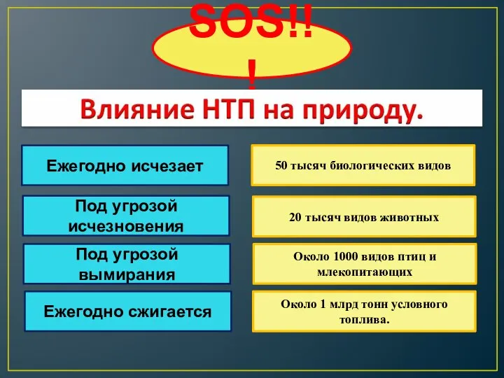 SOS!!! Ежегодно исчезает 50 тысяч биологических видов Под угрозой исчезновения 20