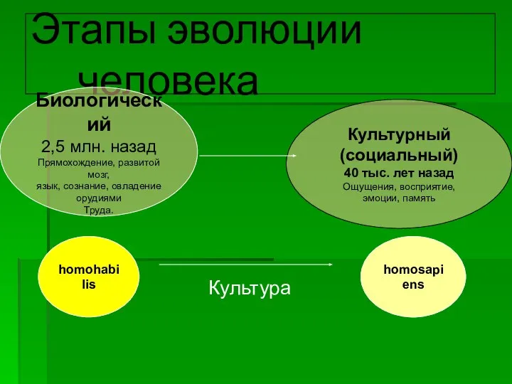 Этапы эволюции человека Биологический 2,5 млн. назад Прямохождение, развитой мозг, язык,