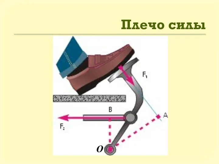 Плечо силы О