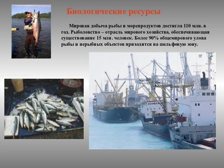 Мировая добыча рыбы и морепродуктов достигла 110 млн. в год. Рыболовство