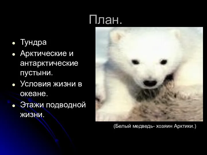 План. Тундра Арктические и антарктические пустыни. Условия жизни в океане. Этажи