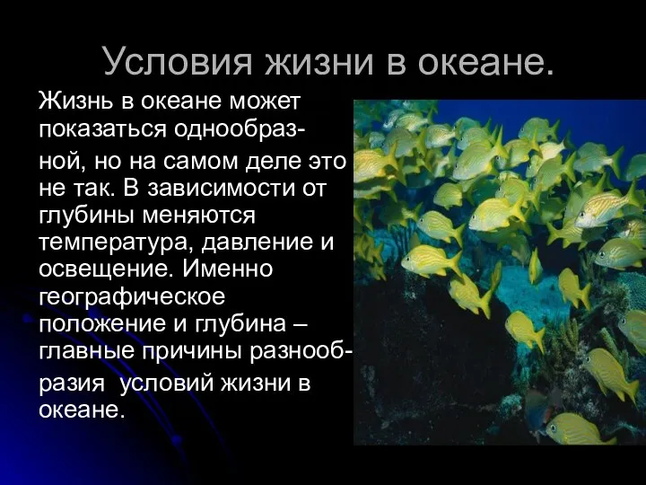 Условия жизни в океане. Жизнь в океане может показаться однообраз- ной,