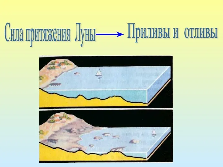 Приливы и отливы Сила притяжения Луны