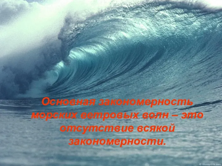 Основная закономерность морских ветровых волн – это отсутствие всякой закономерности.