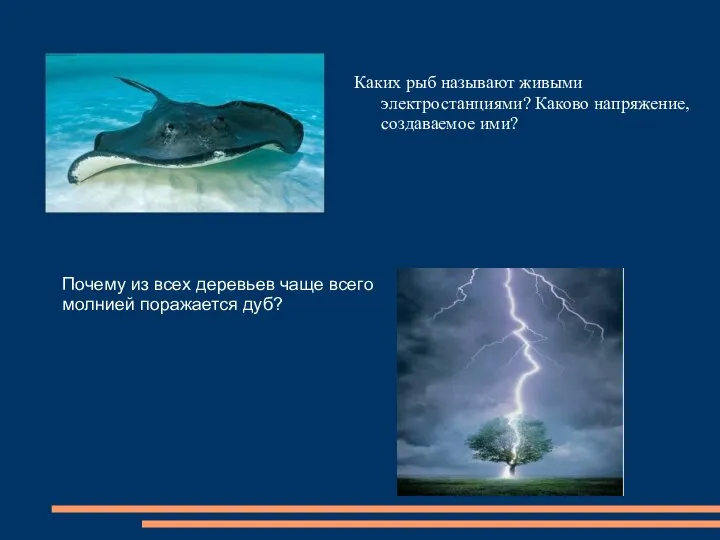 Каких рыб называют живыми электростанциями? Каково напряжение, создаваемое ими? Почему из