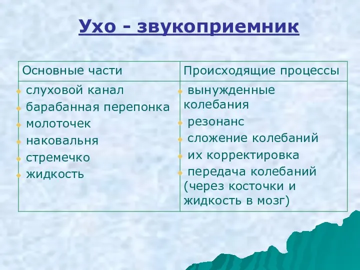 Ухо - звукоприемник