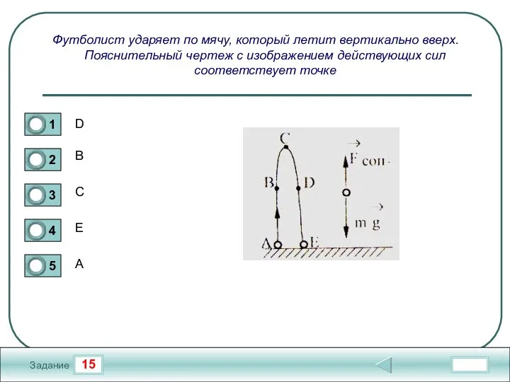 15 Задание Футболист ударяет по мячу, который летит вертикально вверх. Пояснительный