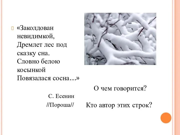 «Заколдован невидимкой, Дремлет лес под сказку сна. Словно белою косынкой Повязалася