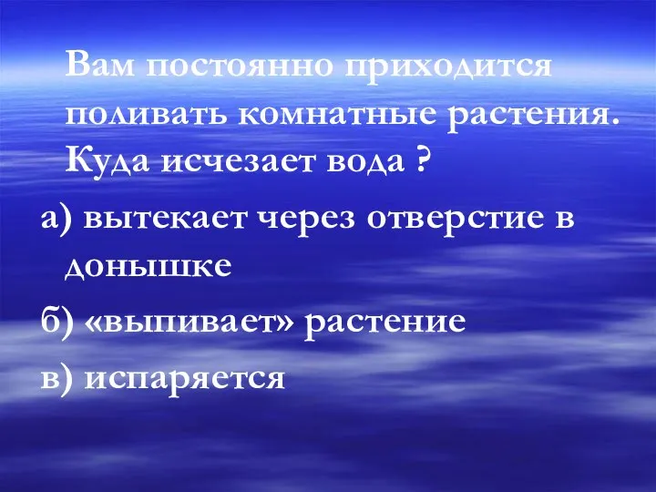 Вам постоянно приходится поливать комнатные растения. Куда исчезает вода ? а)