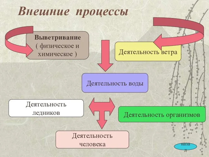 Внешние процессы Выветривание ( физическое и химическое ) Деятельность воды Деятельность